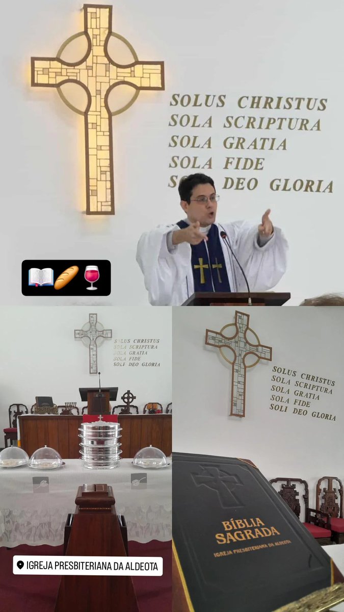 Natan Cerqueira🌷🇧🇷 tweet media