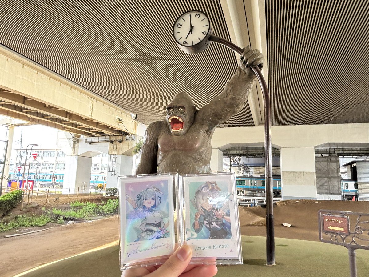 kousei(コウ・セイヤ)💫 tweet media