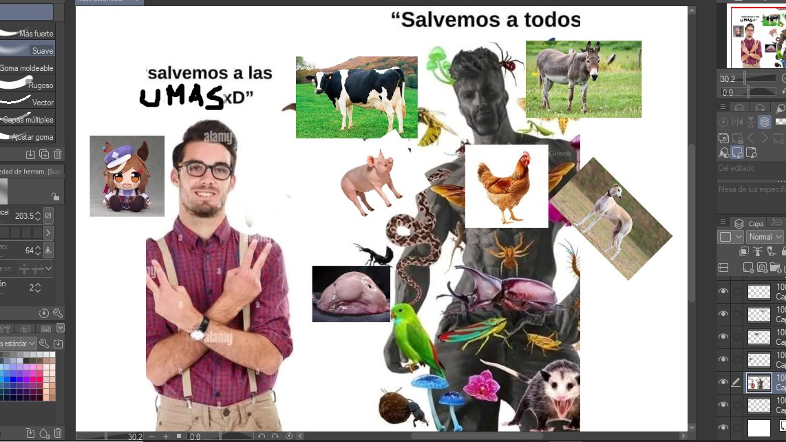 muycontento tweet media