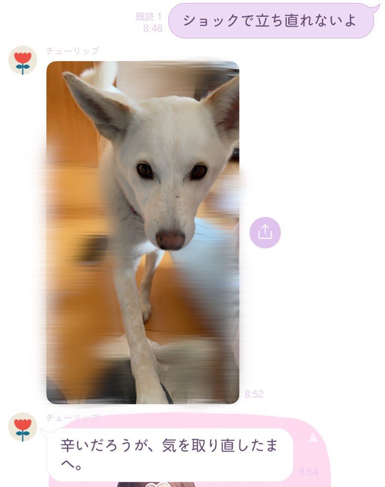 ゅ。 tweet media