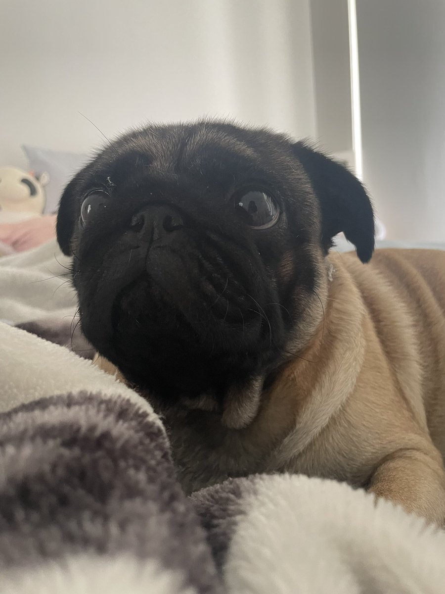 kiki🦭 tweet media