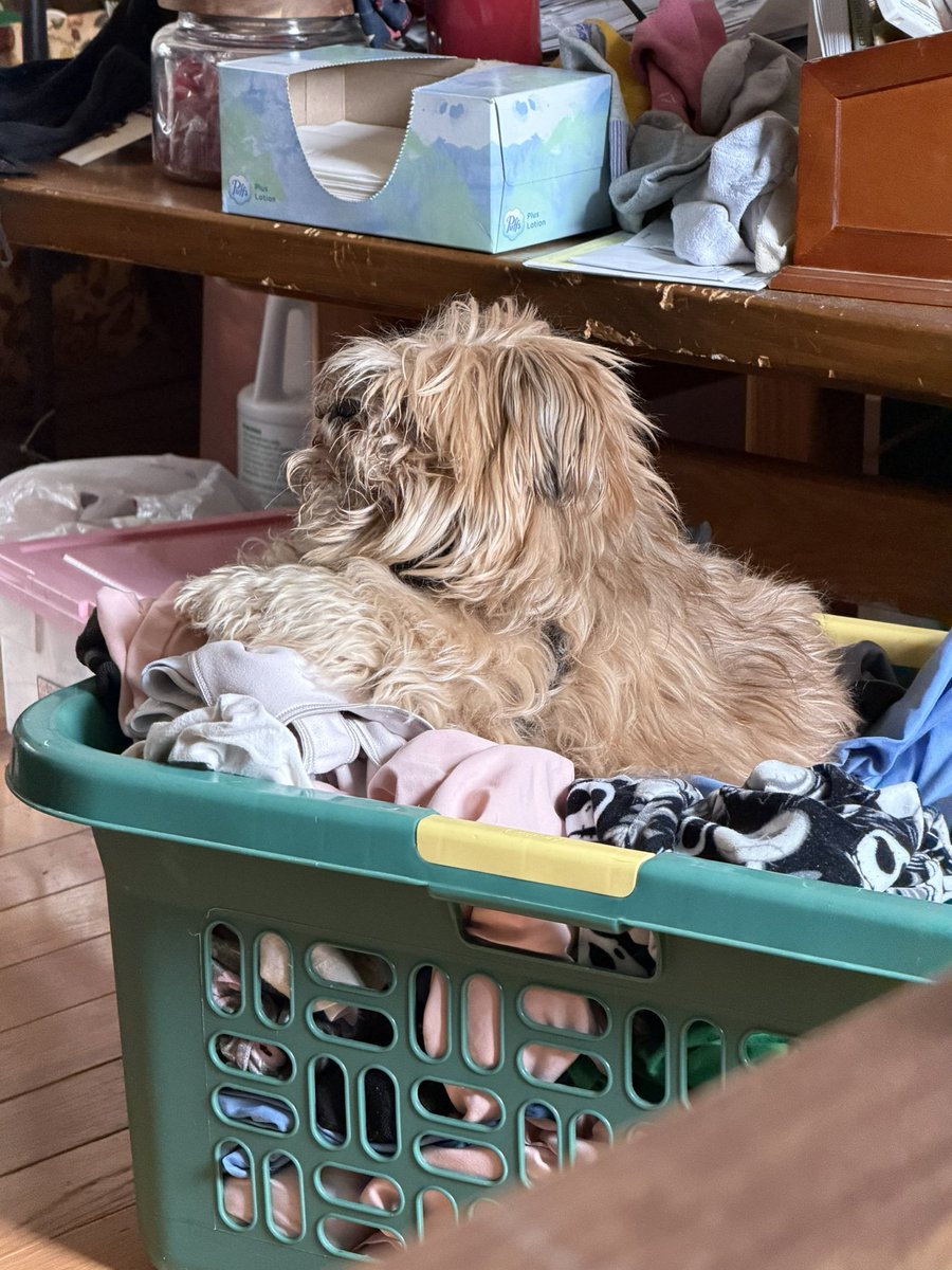 Captain Kirby and the SS laundry!