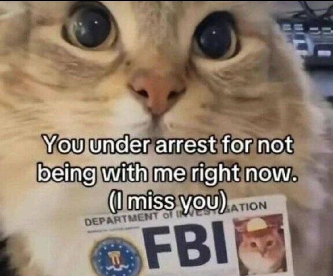 smol silly cat tweet media