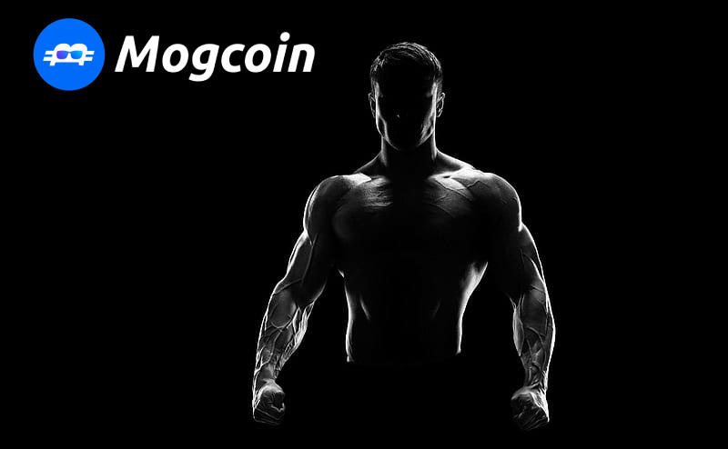Mogcoin tweet media