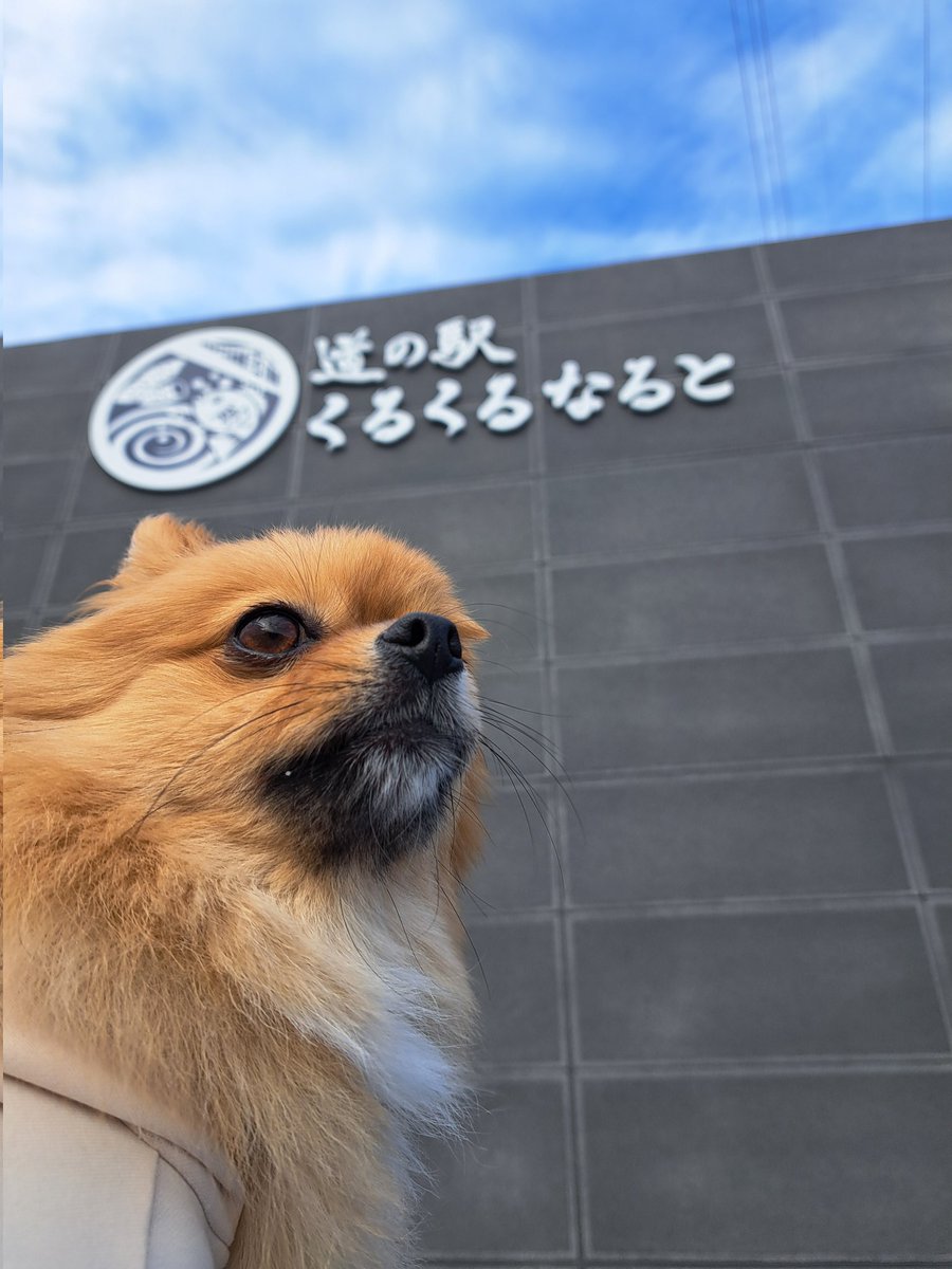 白足のもかとブラタンのるる tweet media