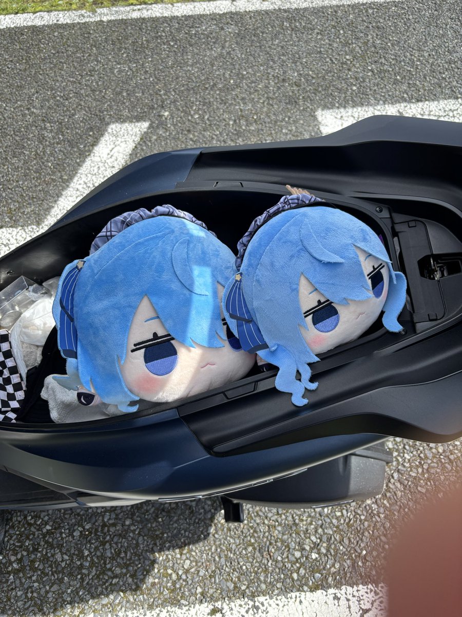 まゆげ商人☄️ tweet media
