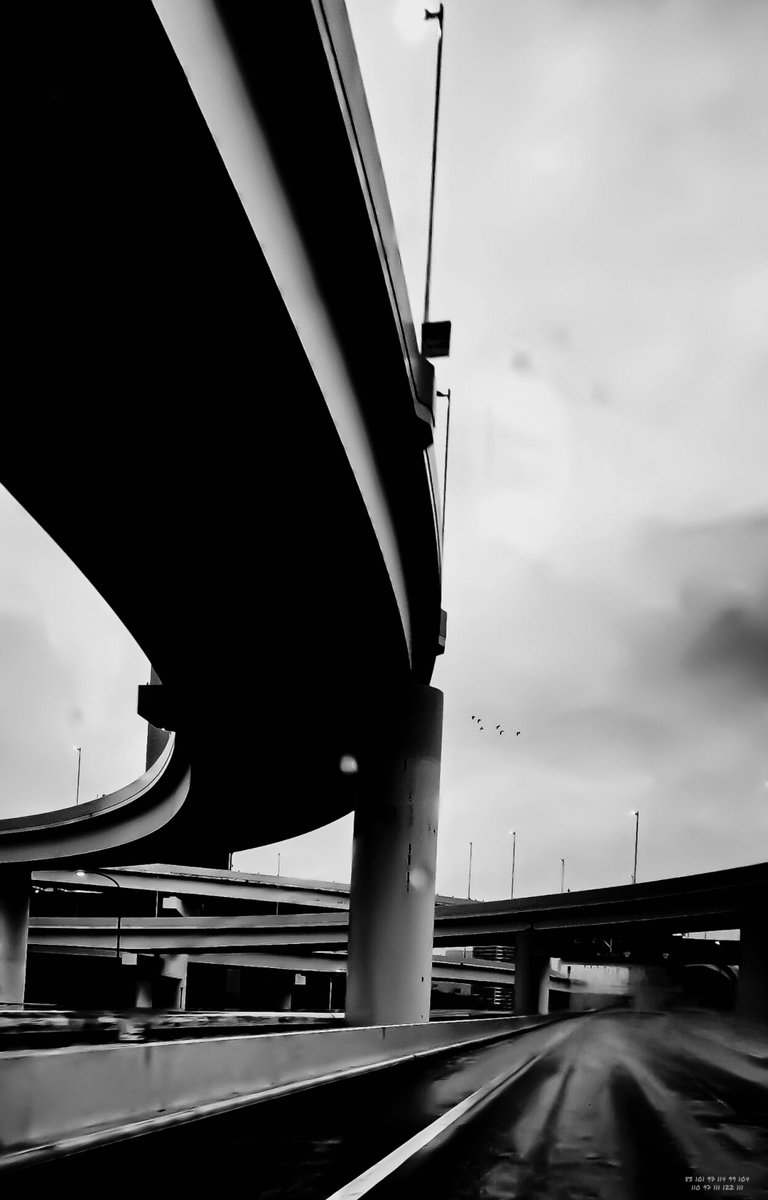 naozoom3970's tweet image. Day489【Search】
The Japanese translation is followed by an English translation.

#monochrome
#NFTs
#photopoetry

NZPHOTOGRAPH &amp;amp; naozo

Day489 模索【Search】

DEAR naozo,

探せ

終わりを
置くな

模索とは
人生そのものである

見つけたと
言い切るな

固定した瞬間
死ぬ

答えは