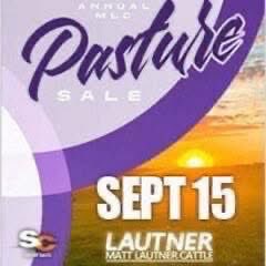 mattlautner's tweet image. #New 

-Young’s Show Cattle 
-Gillette, Wyoming 
-Entire Spring Born Calf Crop Headed To MLC Pasture Sale In September 2026 
-Top Calves Sired By New World Order &amp;amp; Other Industry Leading Sires 

-Michelle Lautner &amp;amp; Nattee Bremer Fall Pasture Sale At MLC Sale Pasture In Lorimor,
