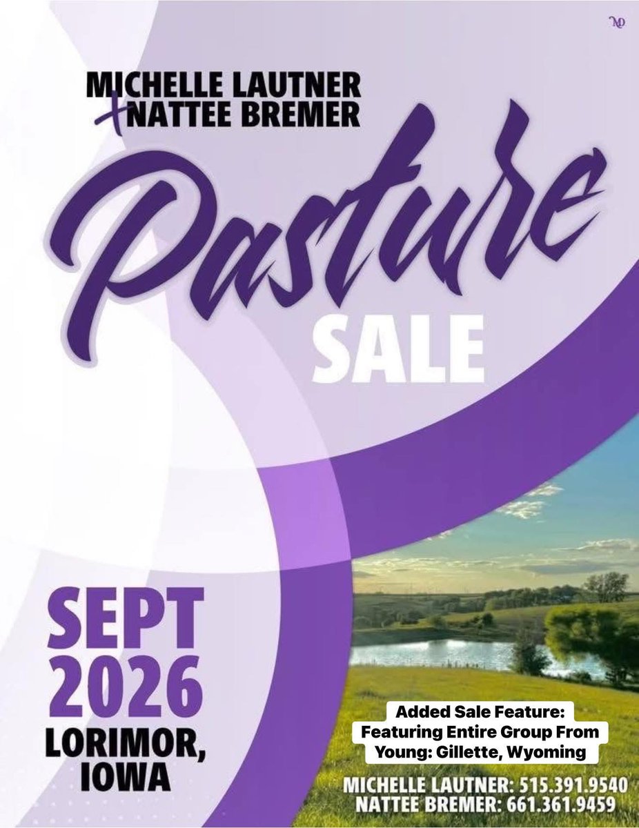 mattlautner's tweet image. #New 

-Young’s Show Cattle 
-Gillette, Wyoming 
-Entire Spring Born Calf Crop Headed To MLC Pasture Sale In September 2026 
-Top Calves Sired By New World Order &amp;amp; Other Industry Leading Sires 

-Michelle Lautner &amp;amp; Nattee Bremer Fall Pasture Sale At MLC Sale Pasture In Lorimor,