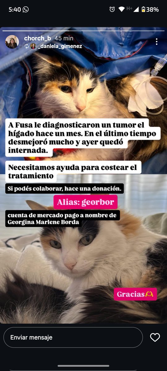 Jichoriza quiere Lali (bertadores) tweet media