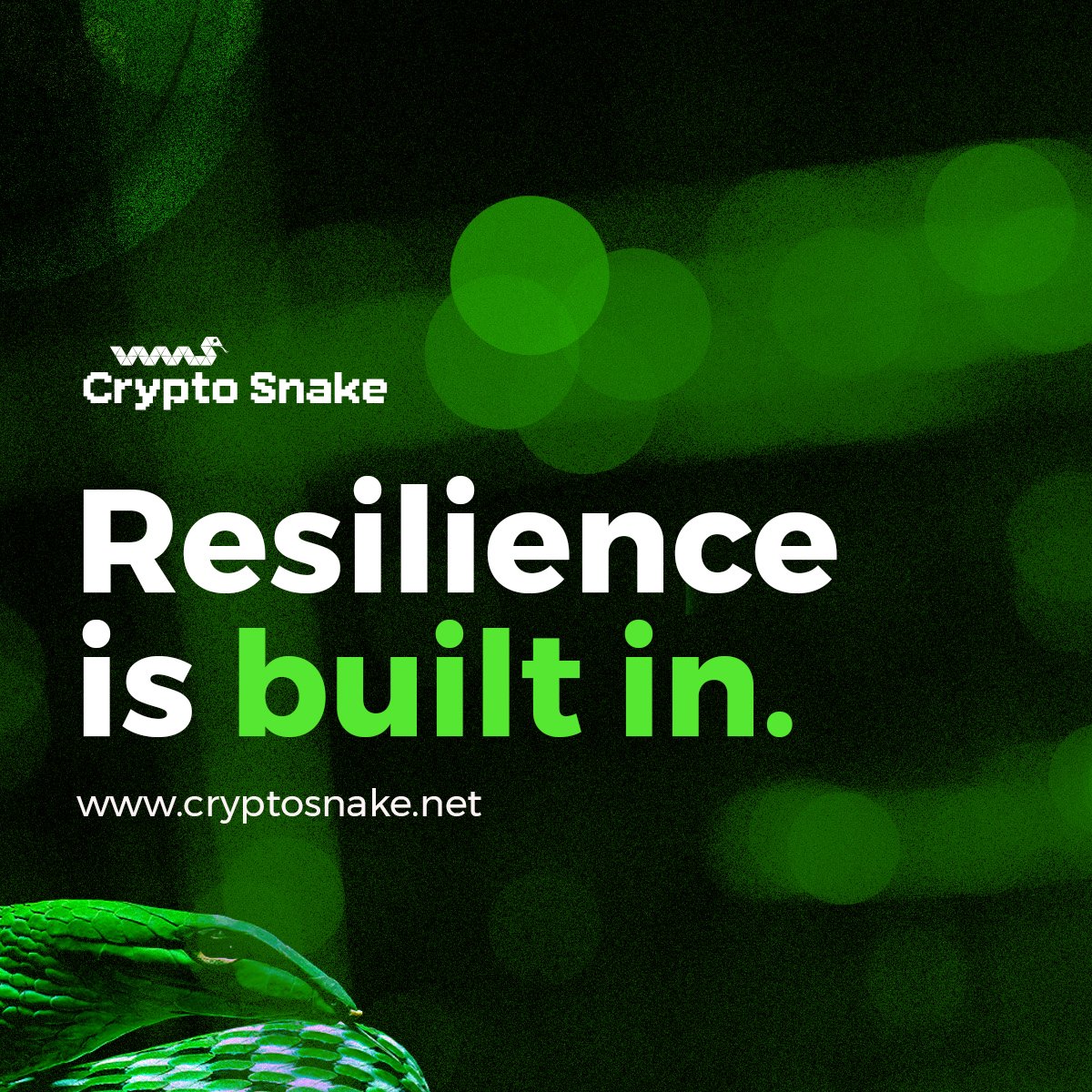 Crypto Snake tweet media