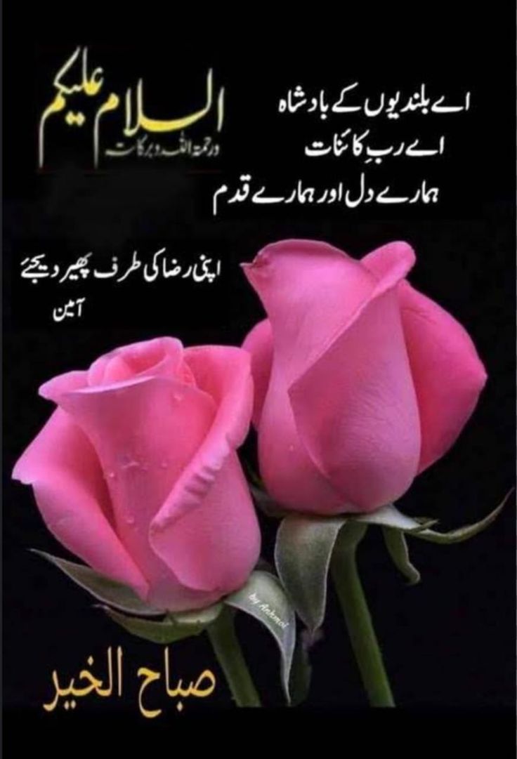 Altaf Hussain tweet media