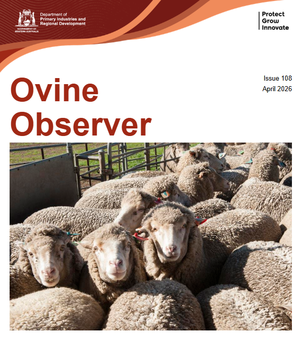 DPIRD Broadacre - WA Grains & Livestock tweet media
