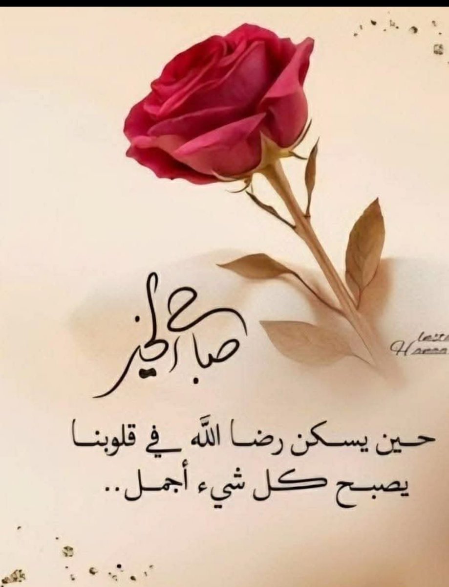 ابو علي العبودي tweet media