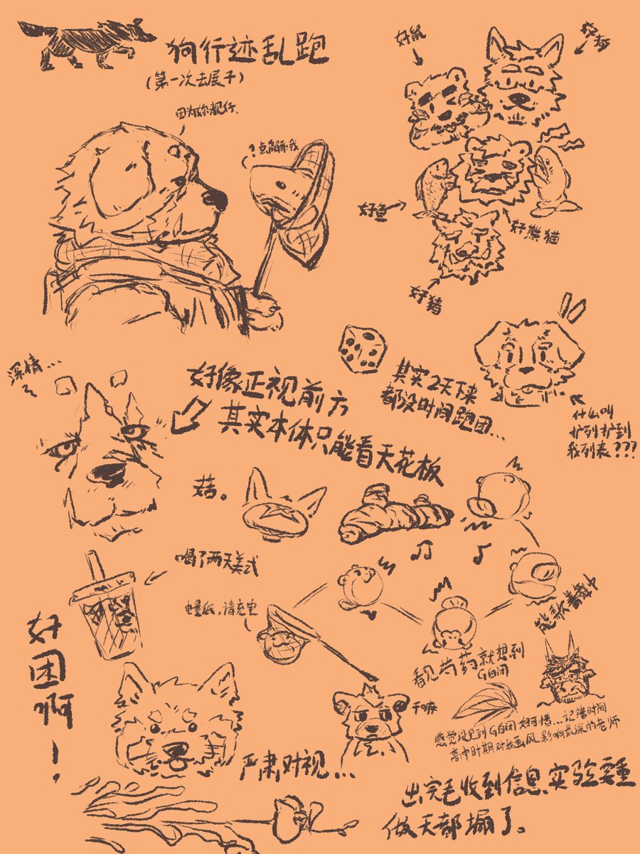 喜欢闻KOU皮炎 tweet media