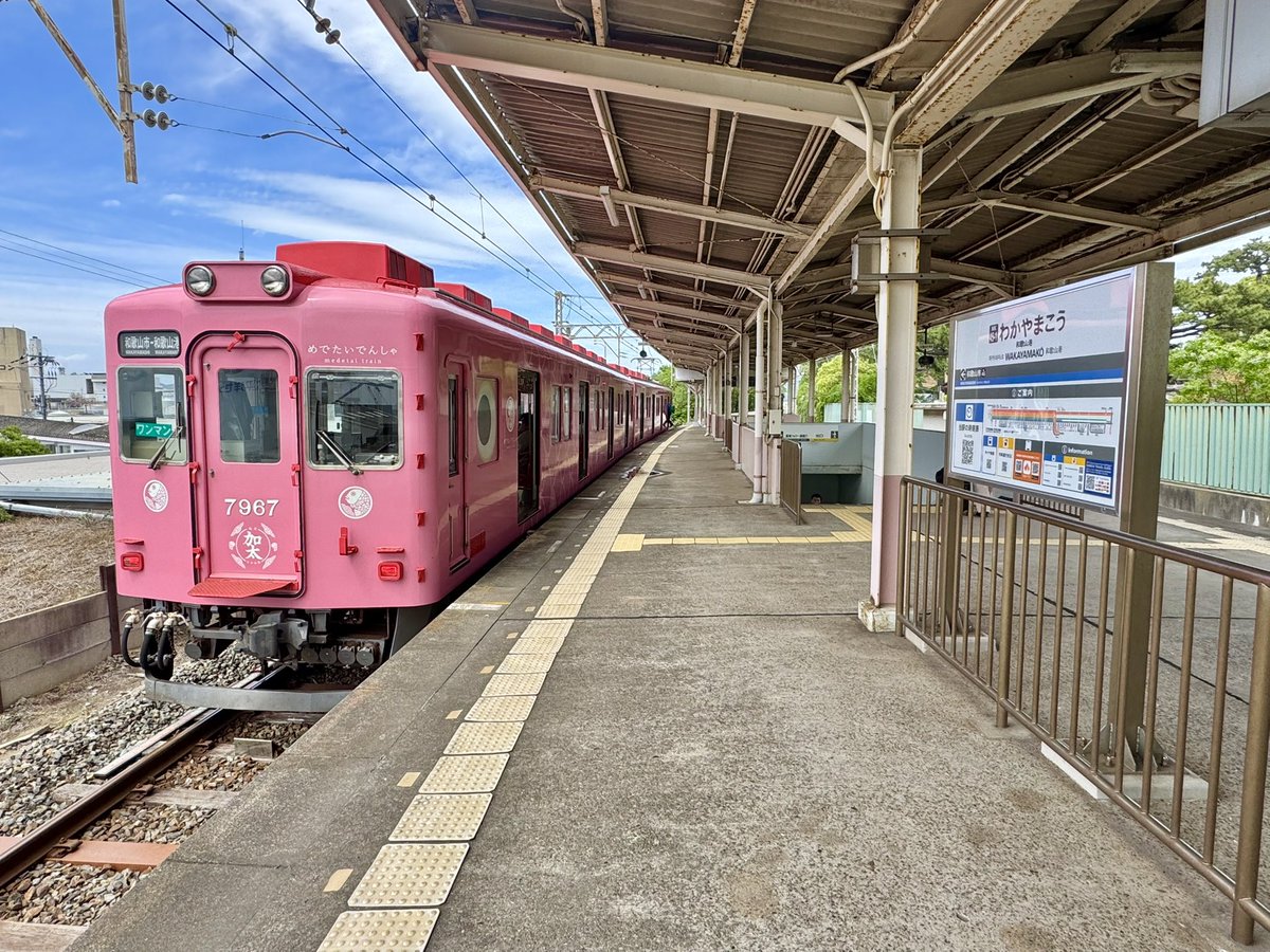 しろまるほっかいドライブ tweet media