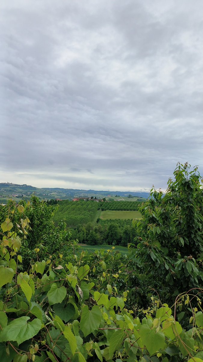 il_David🧩sfigatoera tweet media