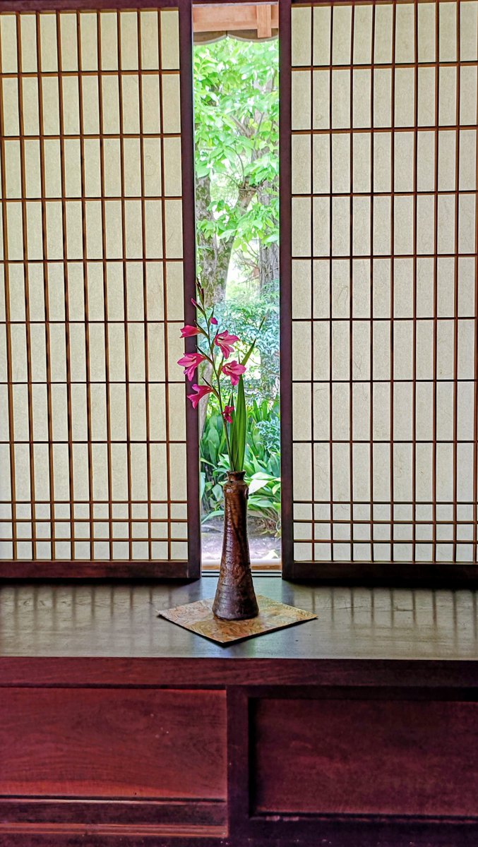 家の近所にこんな立派なお寺さんあるの知らんかった。
