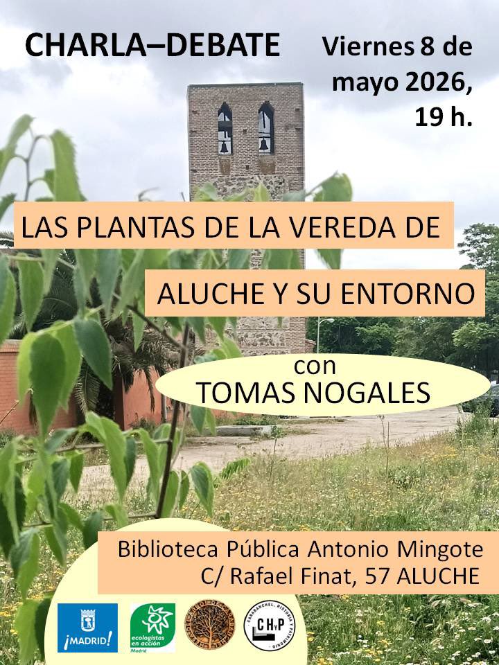 Salvemos Eugenia de Montijo tweet media
