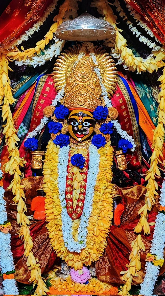 🦋Manasmita_puja🦋 tweet media