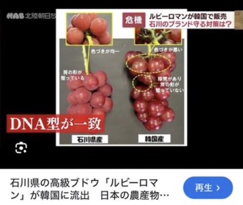 なおまる　🇯🇵衰退から復活へ❗️ tweet media