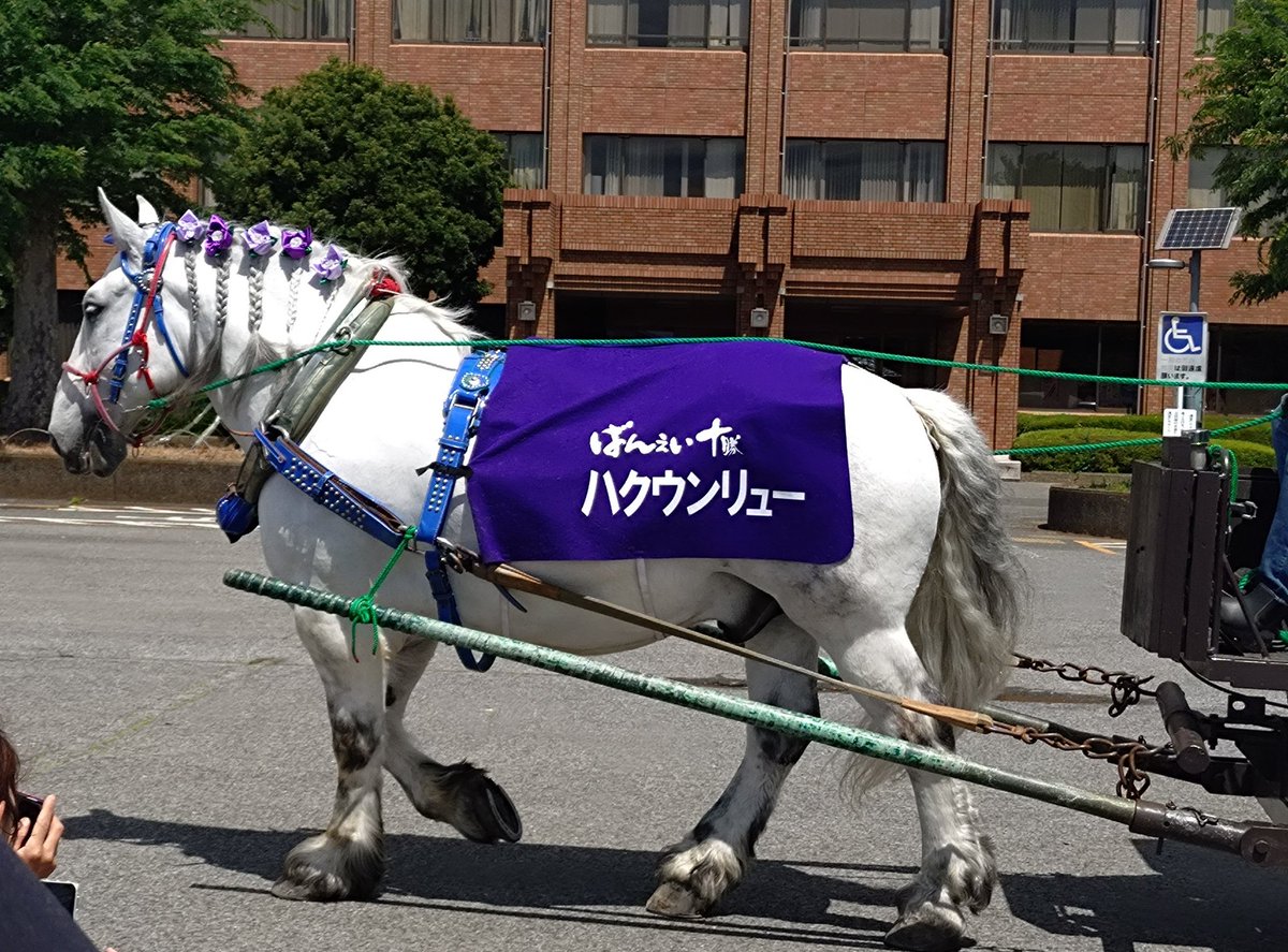 ふろおけ tweet media