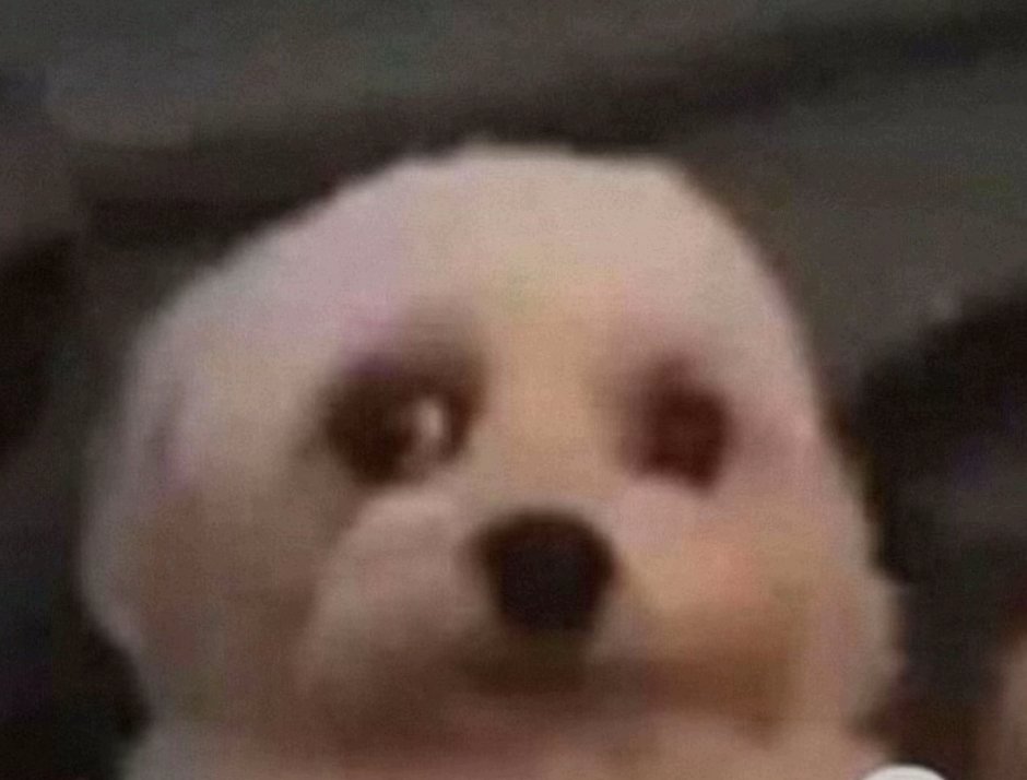 𝒟𝒾𝑒𝑔𝑜 tweet media