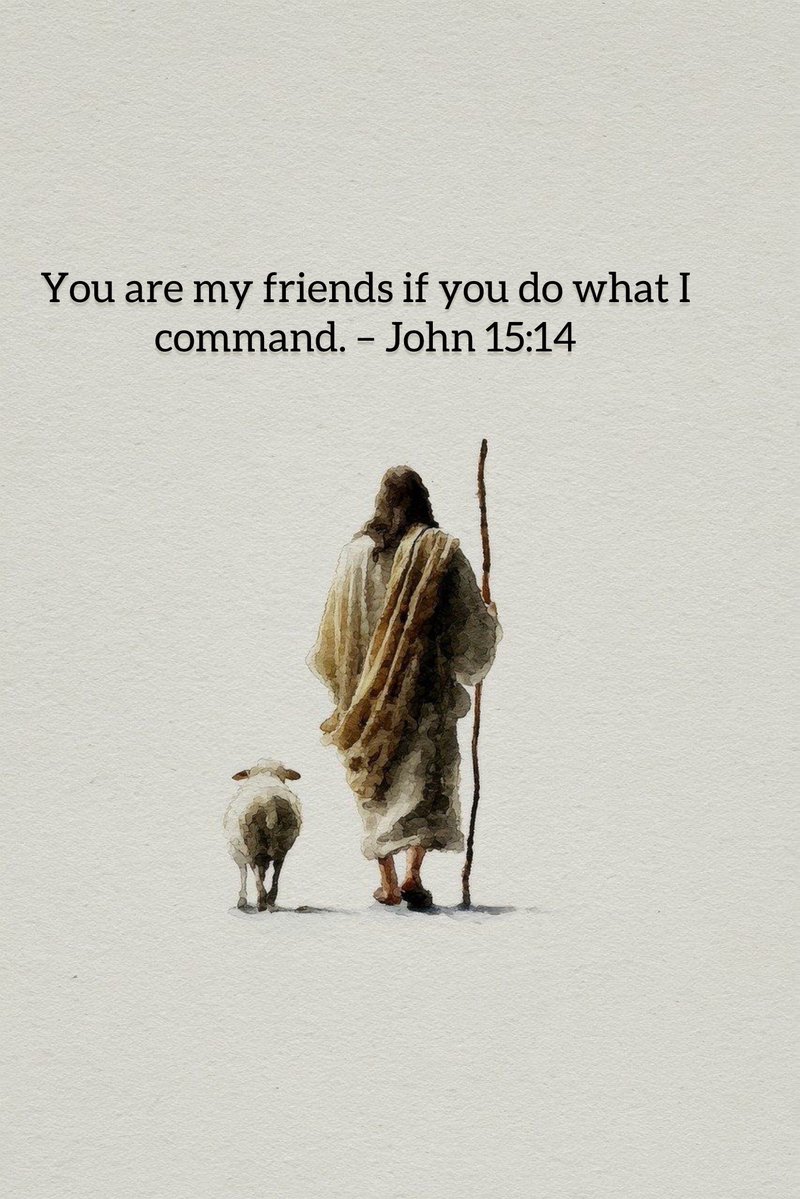 Holy Bible tweet media