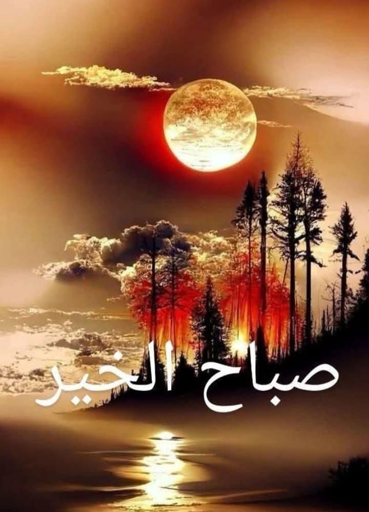 Hanin Salwa tweet media