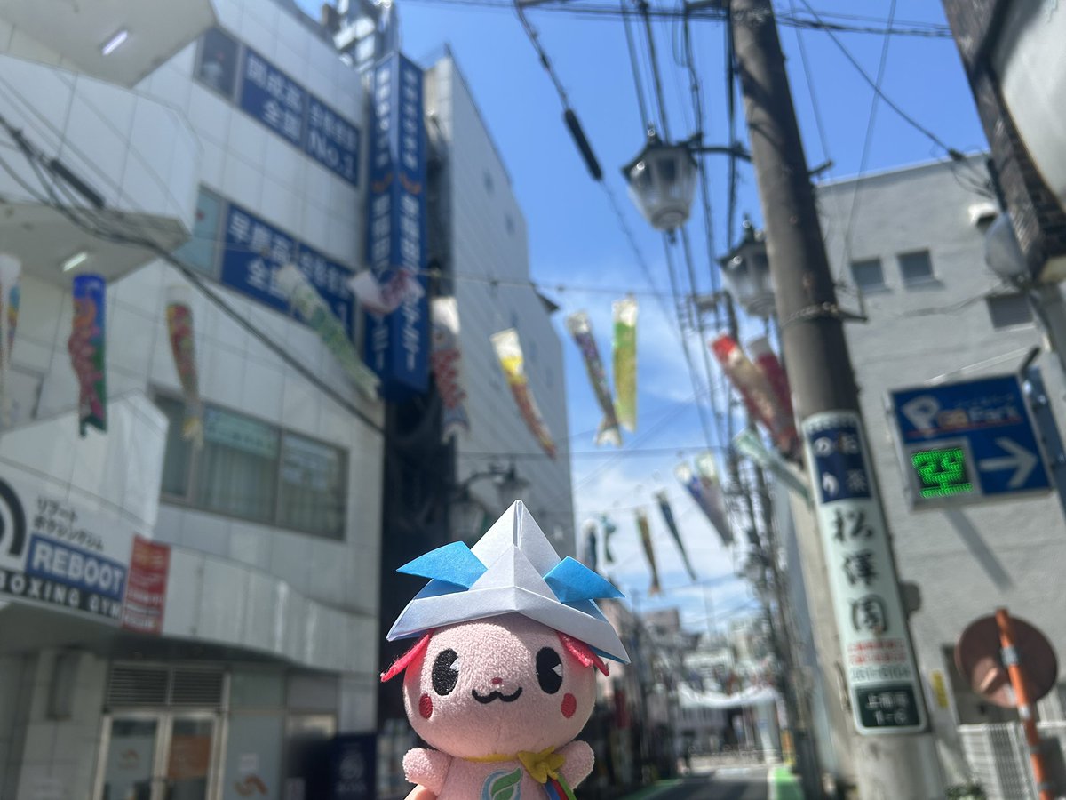 ラー子🍥自称上福岡観光大使 tweet media