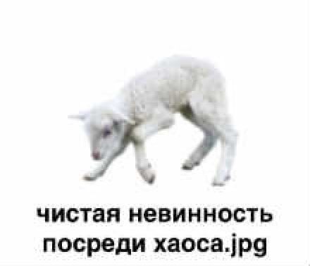 Господи это опять ты tweet media