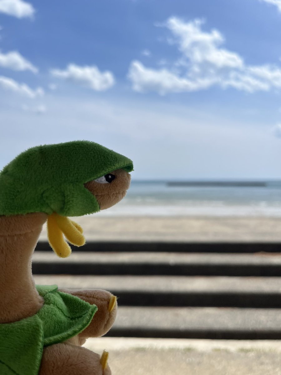 withtoropius's tweet photo. #ポケモンfit
「トレーナーと一緒に海を見たよ」 https://t.co/lInaa3SPQI