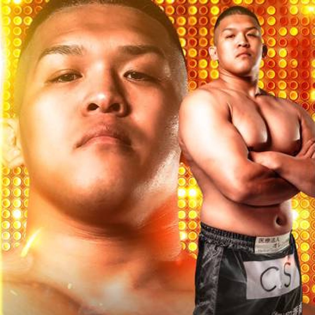 ファイトメモリー | Fight Memory tweet media