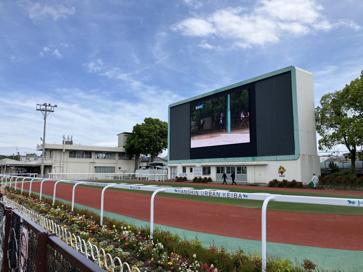 ちっち_シルク一筋一口馬主 tweet media