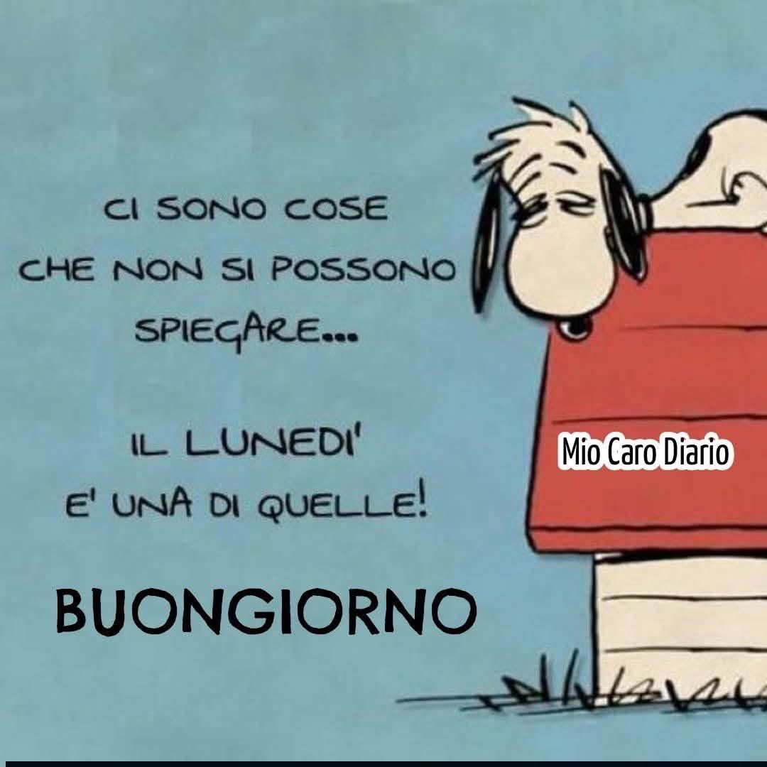 ❤️🖤nando🖤❤️ tweet media
