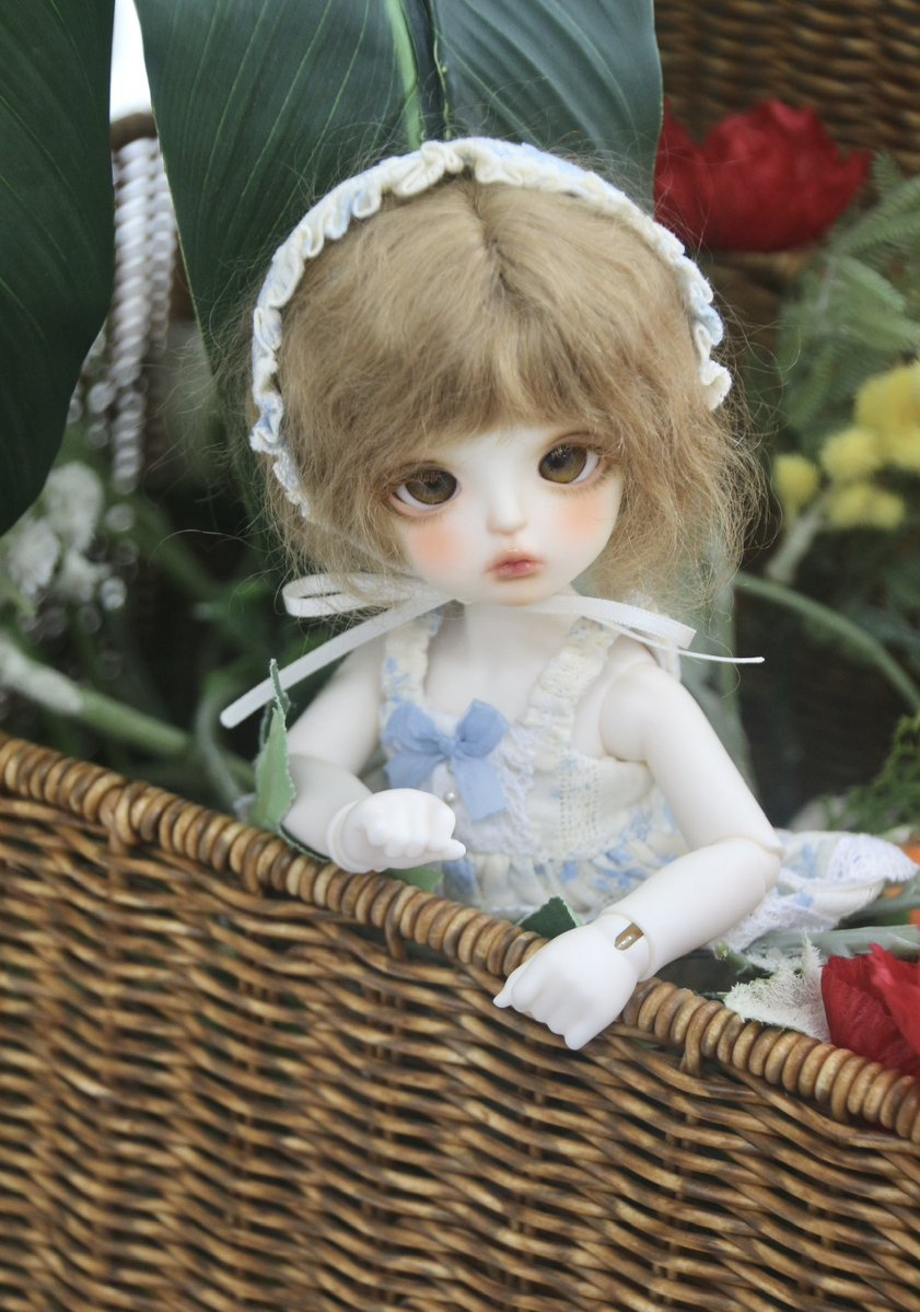 오십 tweet media