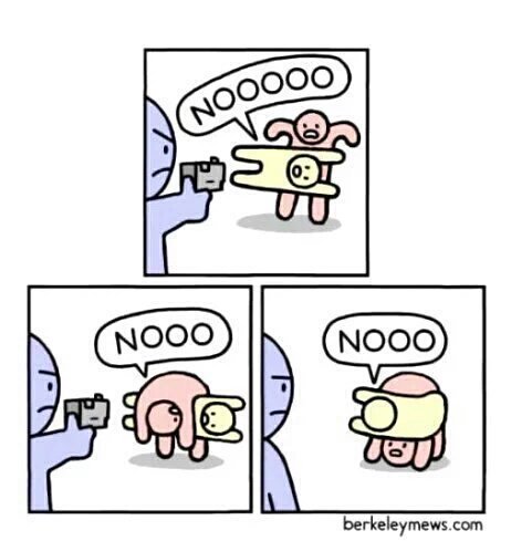 발바닥 tweet media