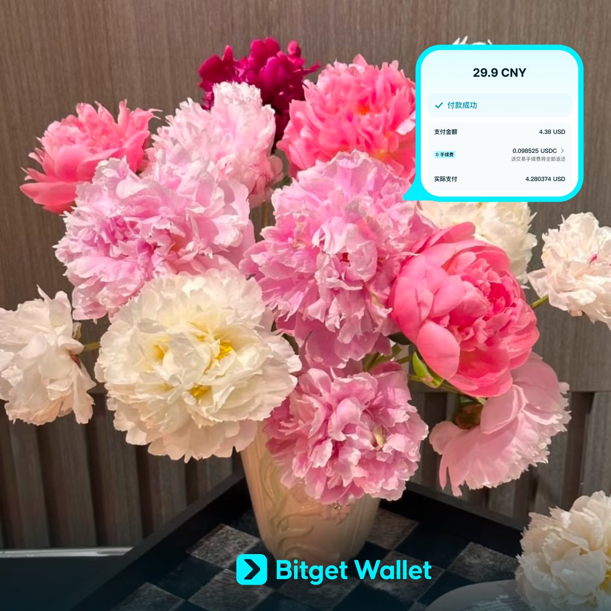 Bitget钱包中文频道 🩵 tweet media