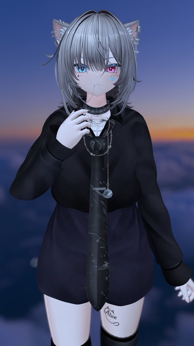 A1iceCat/VRC tweet media