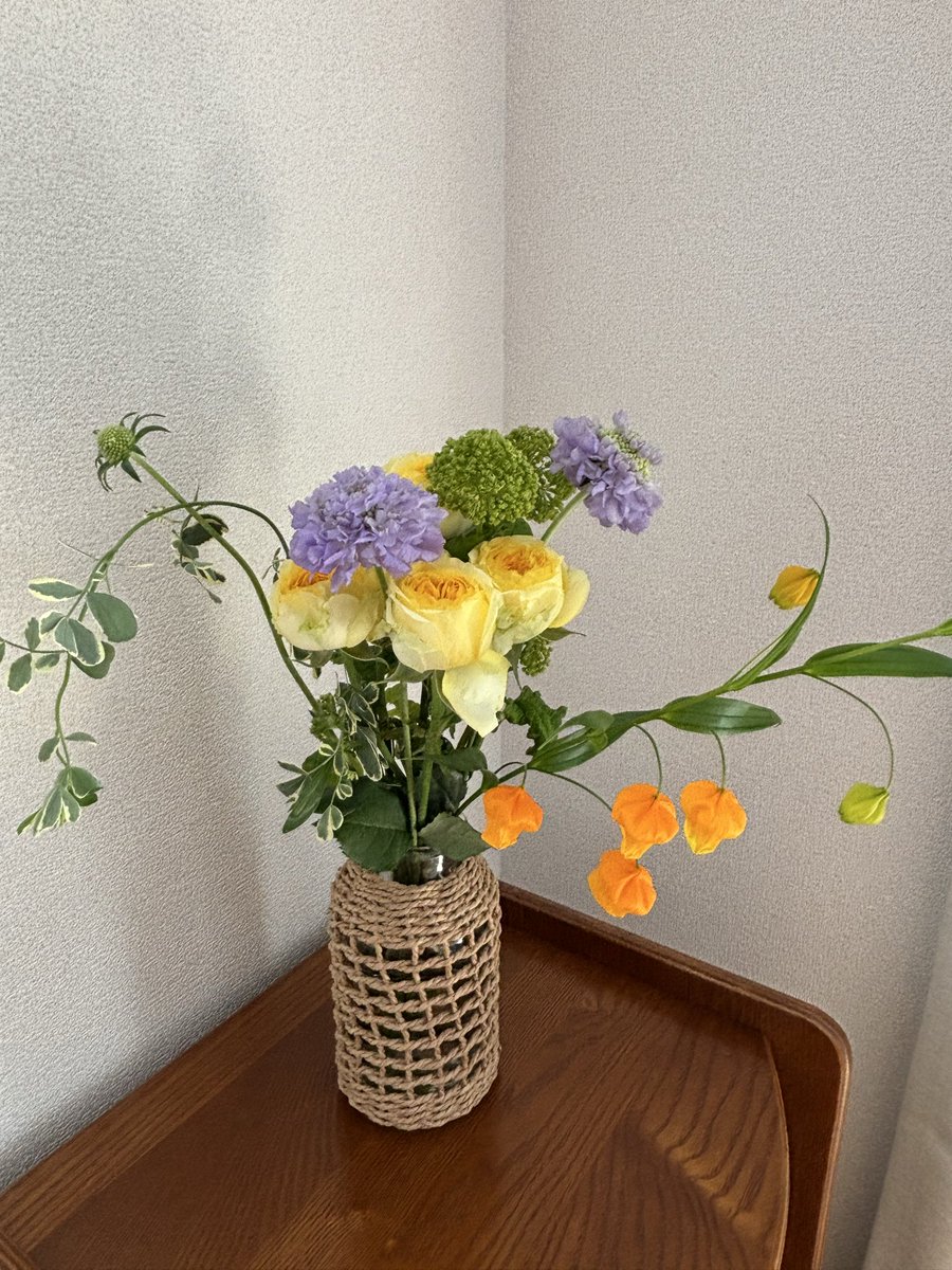 mpjnatg's tweet photo. もらったお花がたまたまサンダーソニアで幸 https://t.co/uxqvCbb8ZW