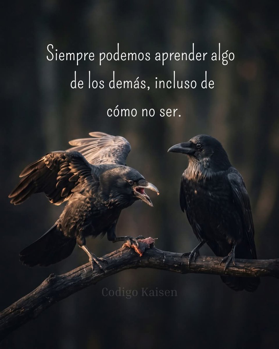 Escuela de Vida tweet media