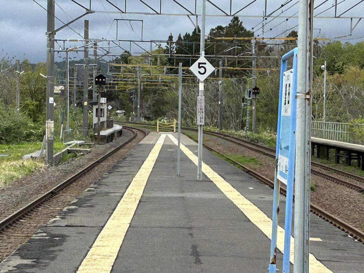 ふーみんP tweet media