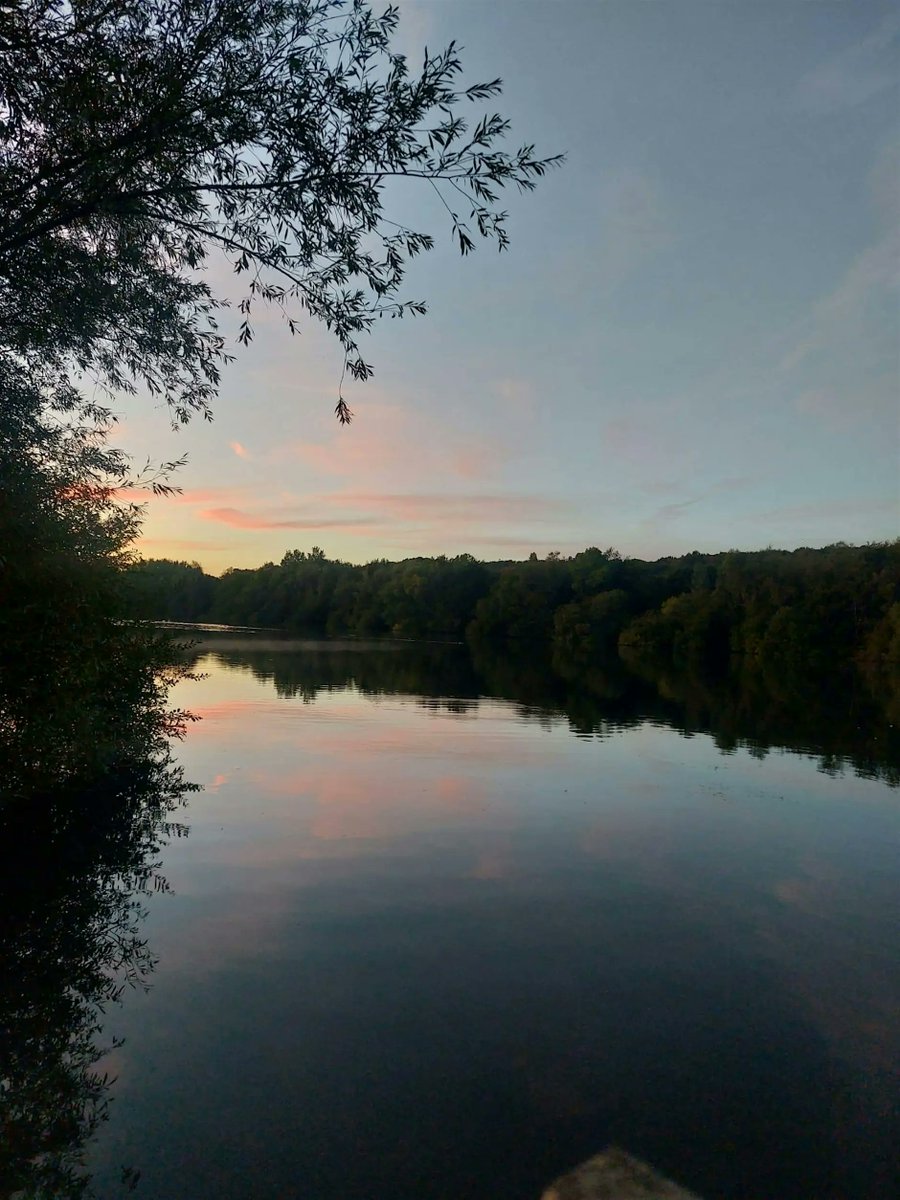 SalfordRanger's tweet image. 2 Bat Walks coming up, Worsley Woods tomorrow then Clifton Thursday eventbrite.co.uk/e/198798199867…  #Batwalk #bats