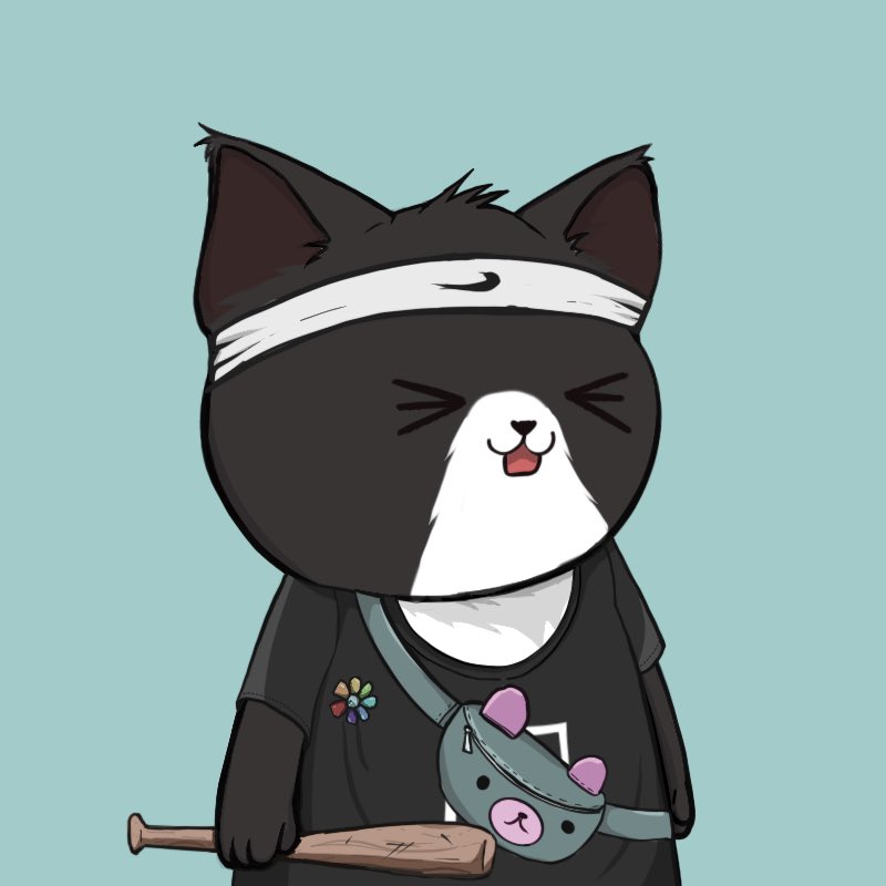 Caticals tweet media