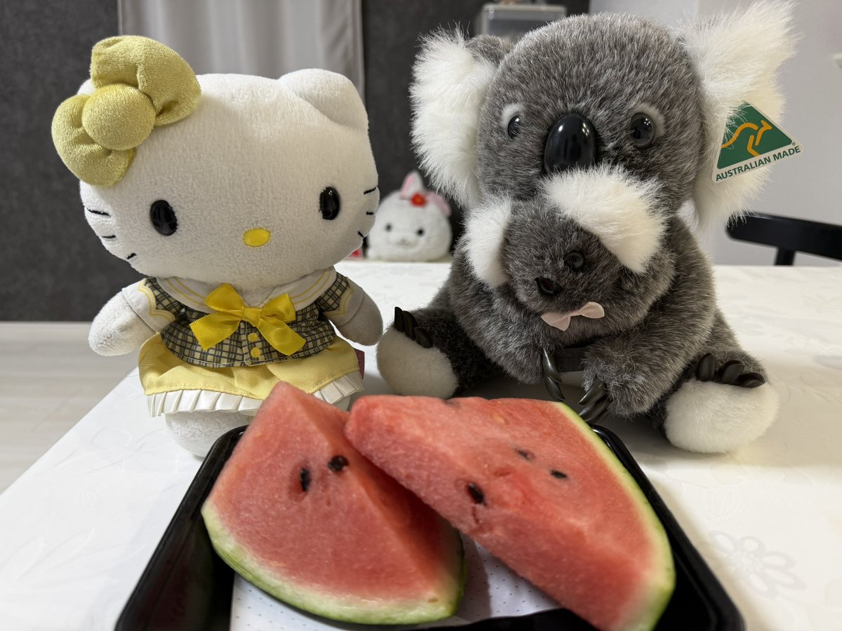 サブばる〜ん【現実だった…】🥺 tweet media