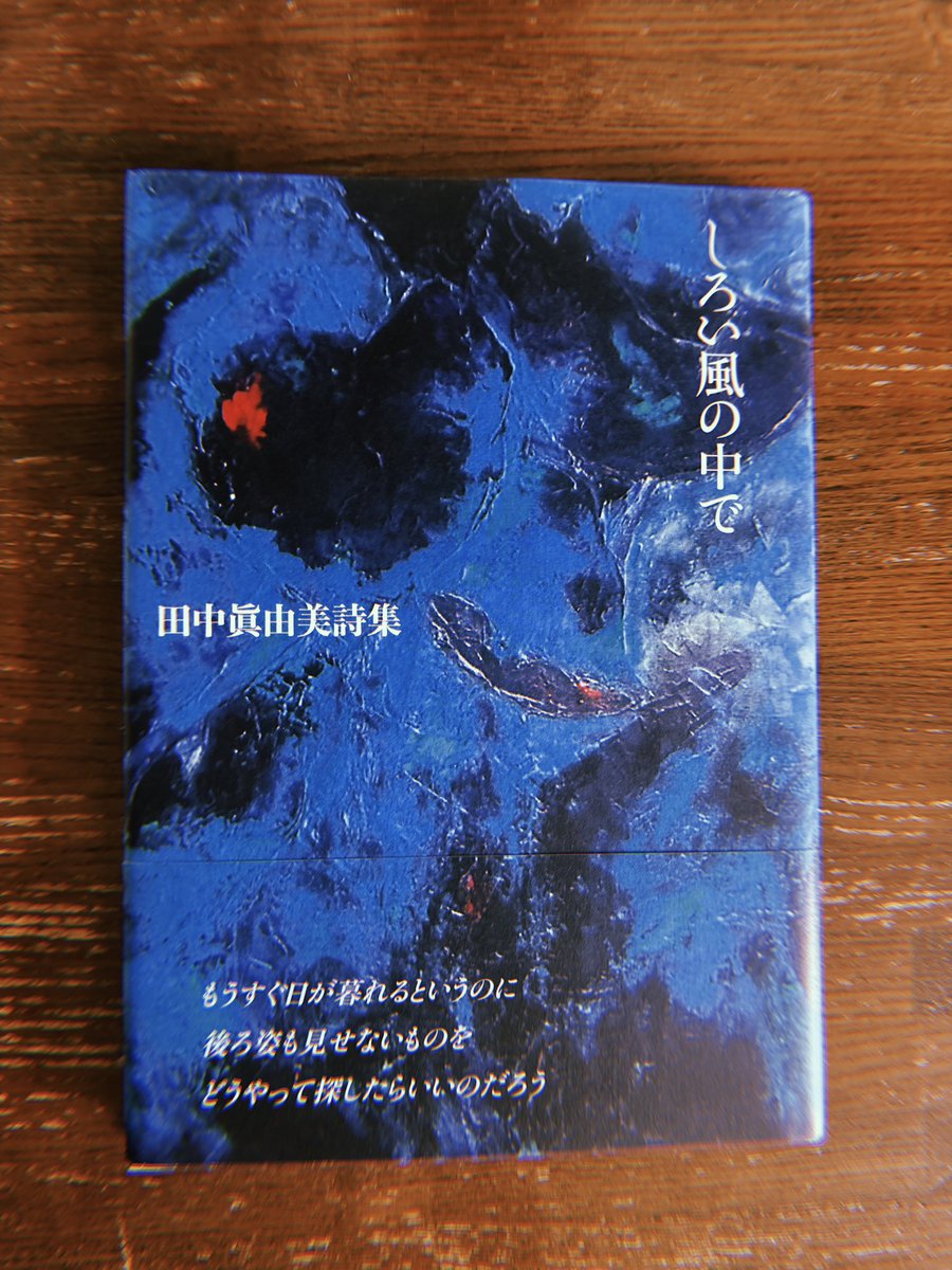 ナカノメソウマ (しゃかしゃかのめーめ-ならごい) tweet media