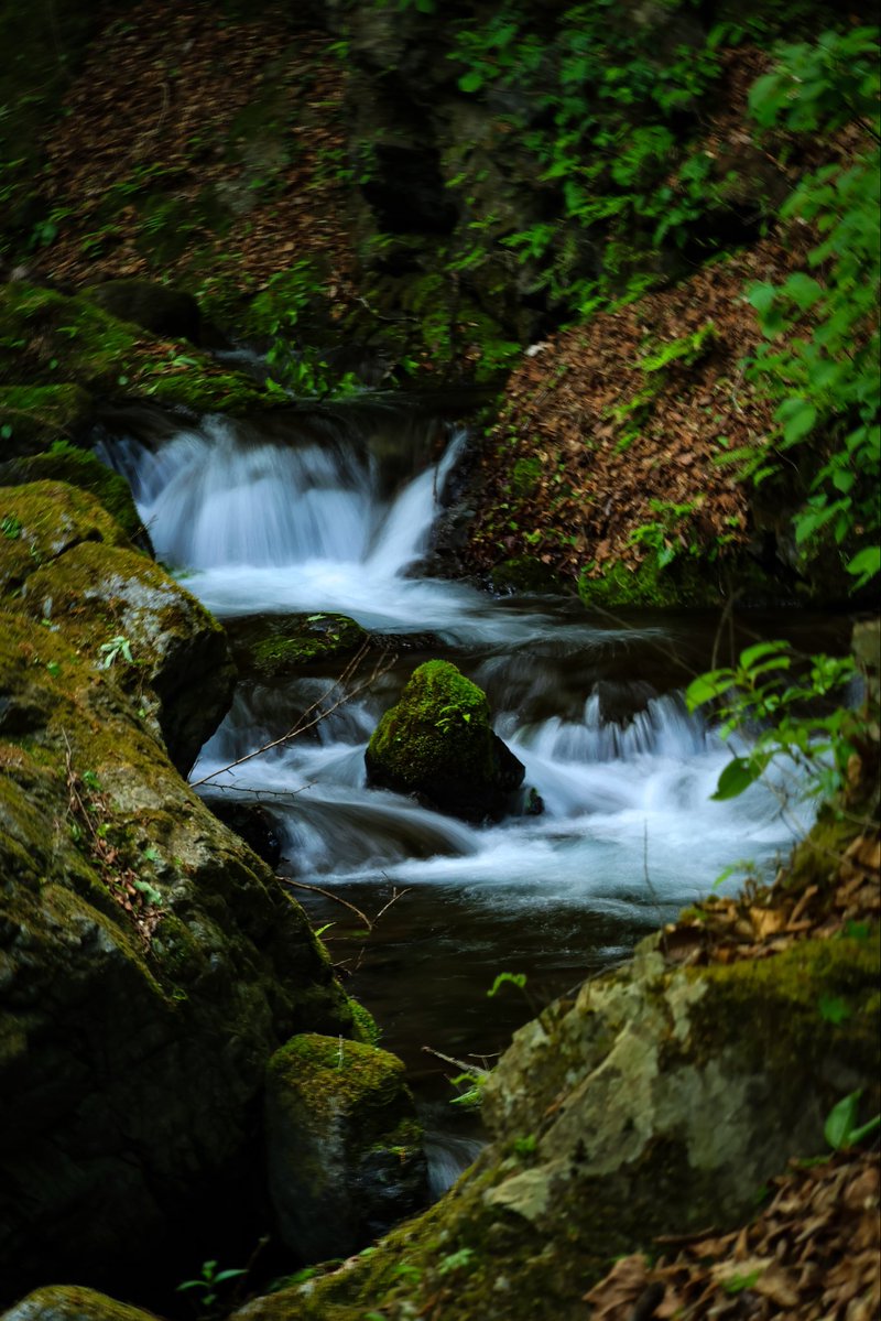 Snow tweet media