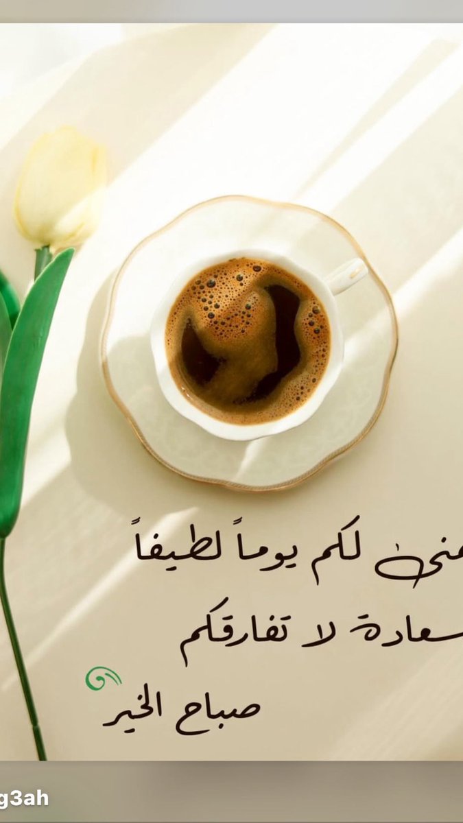 بنت الكويت💙🇰🇼🌼 tweet media