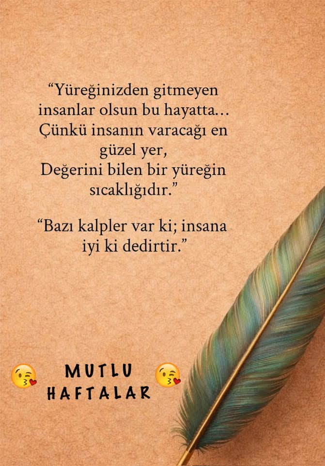 Gül Haluk tweet media