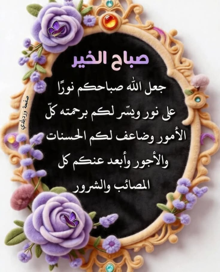 Dr:Saeed tweet media
